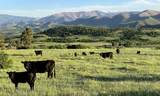Lot 77 Tres Valles - Photo 28