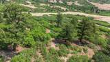 Lot 77 Tres Valles - Photo 34