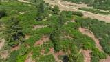 Lot 77 Tres Valles - Photo 35