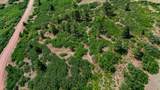Lot 77 Tres Valles - Photo 37