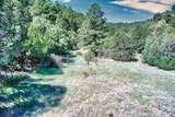 33822 Fisher Peak Pkwy - Photo 40