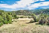 33822 Fisher Peak Pkwy - Photo 41
