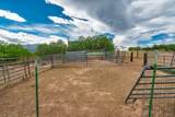 10500 Dodge Rd - Photo 41