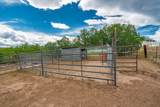 10500 Dodge Rd - Photo 42