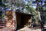 25110 Ridgeline Drive - Photo 30