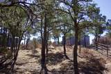 25110 Ridgeline Drive - Photo 31