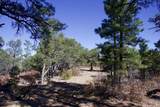 25110 Ridgeline Drive - Photo 32