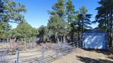25110 Ridgeline Drive - Photo 41