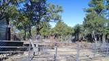 25110 Ridgeline Drive - Photo 42