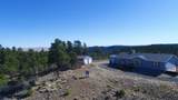 25110 Ridgeline Drive - Photo 44
