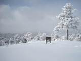 25110 Ridgeline Drive - Photo 47