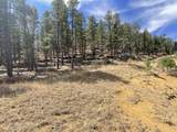 160 Acres San Pablo Canyon - Photo 29