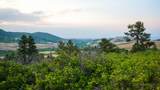 Lot 77 Tres Valles - Photo 18