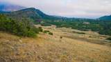 Lot 77 Tres Valles - Photo 22