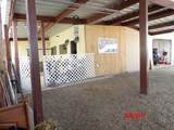 1013 Grant Ave - Photo 34