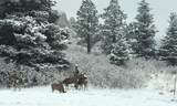 Lot 77 Tres Valles - Photo 9