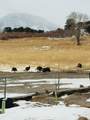 640 County Rd 571 - Photo 40