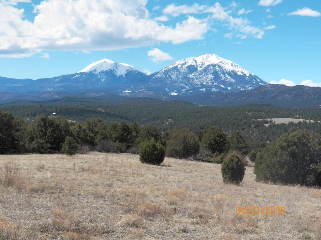 TBD Wildcat Road - Photo 1