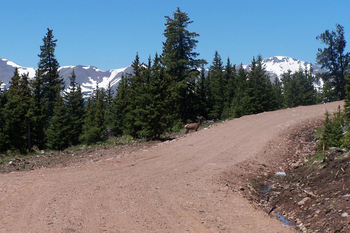 Timber Ridge Trail - Photo 1