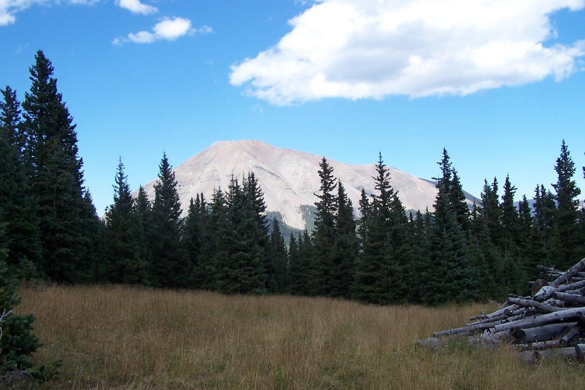 Timber Ridge Trail - Photo 1