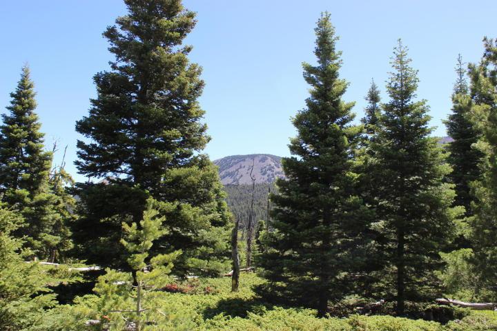 TBD Valley Vista - Photo 1