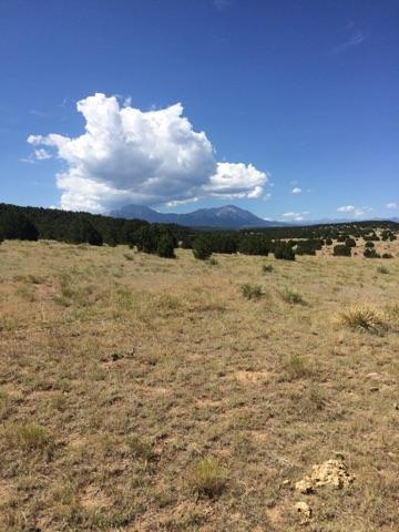 Lot 107 River Ridge Ranch - Photo 1