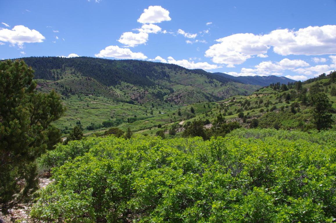 Lot 28 Tres Valles - Photo 1