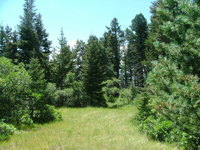 Lot 36 Tres Valles West - Photo 1