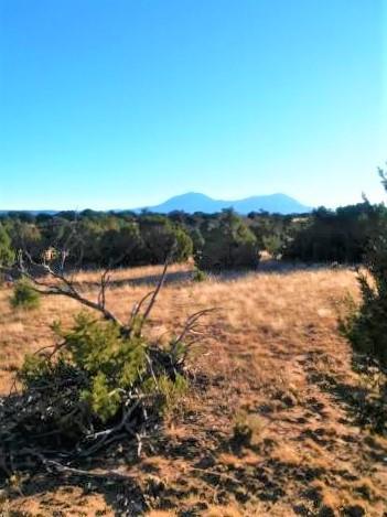Rio Cucharas Phase III - Photo 1