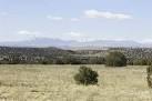 lot 204 Tyrone Hills - Photo 1