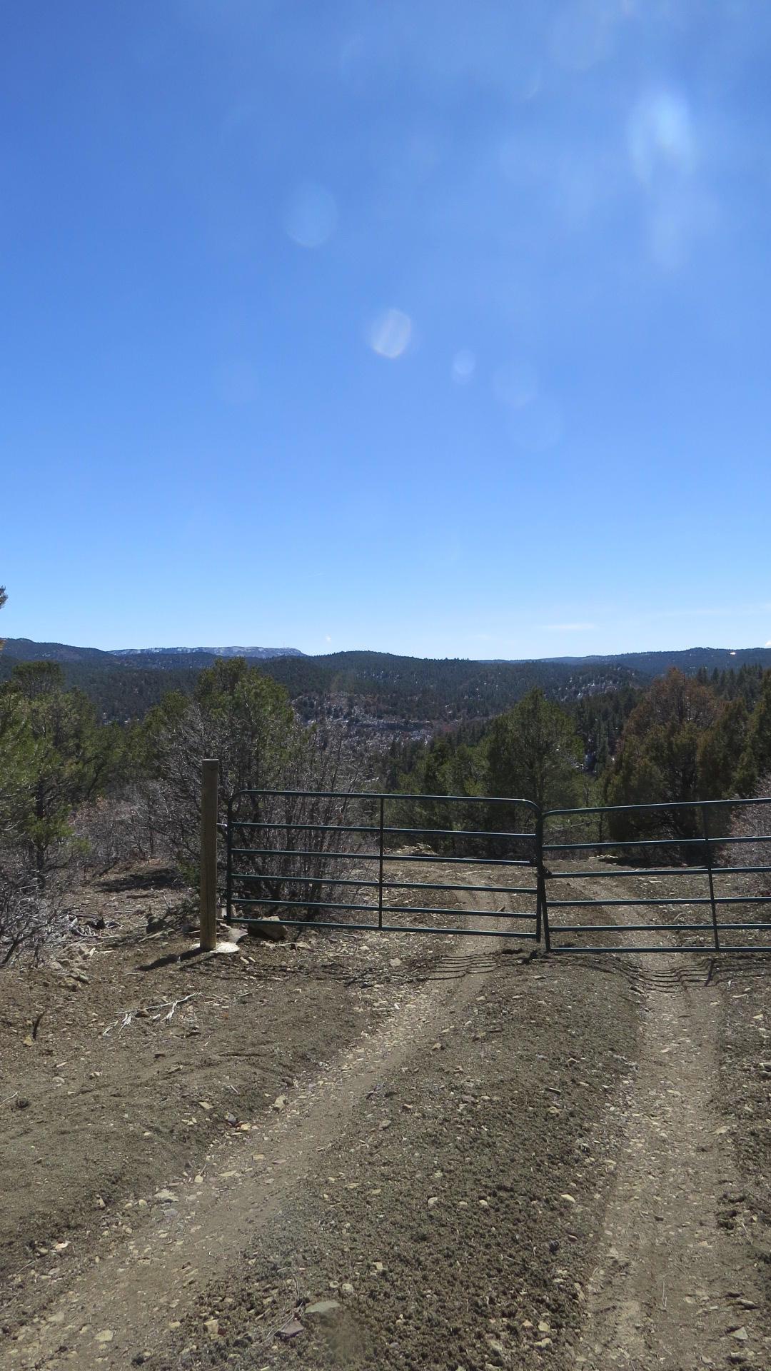 35447 Ponderosa Ridge Dr - Photo 1