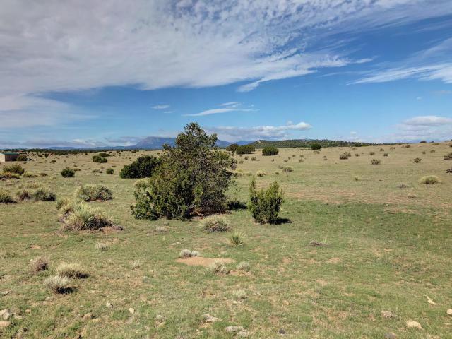 lot 500 Rio Cucharas - Photo 1