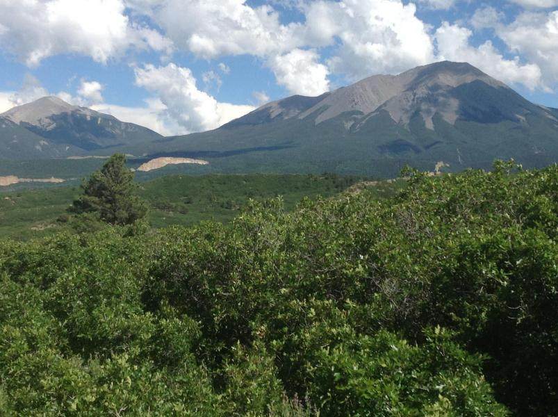Lot 13 Piney Ridge Ranch - Photo 1