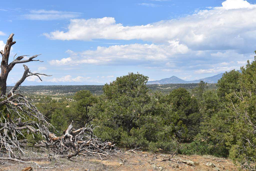 Lot 105 No Site Address - Photo 1