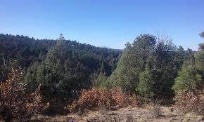37512 Alpine Meadows Drive - Photo 1