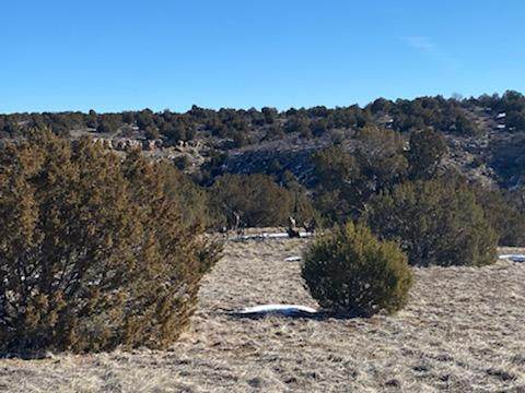 Lot 18 Apache Creek Ranch - Photo 1