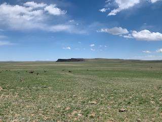 Lot 262 Colorado Land & Livestock - Photo 1