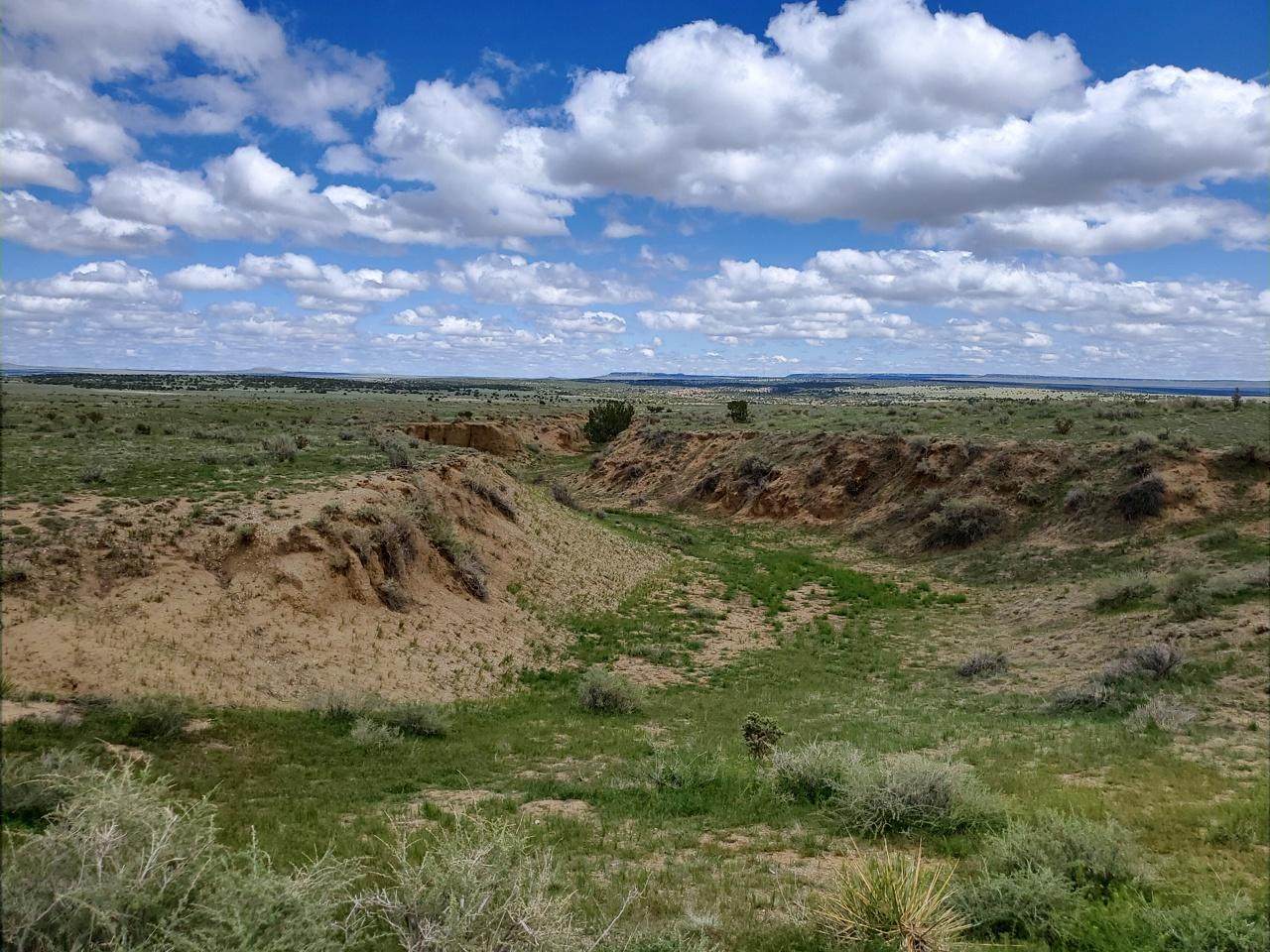 LOT 219 Turkey Ridge Ranch #7 - Photo 1