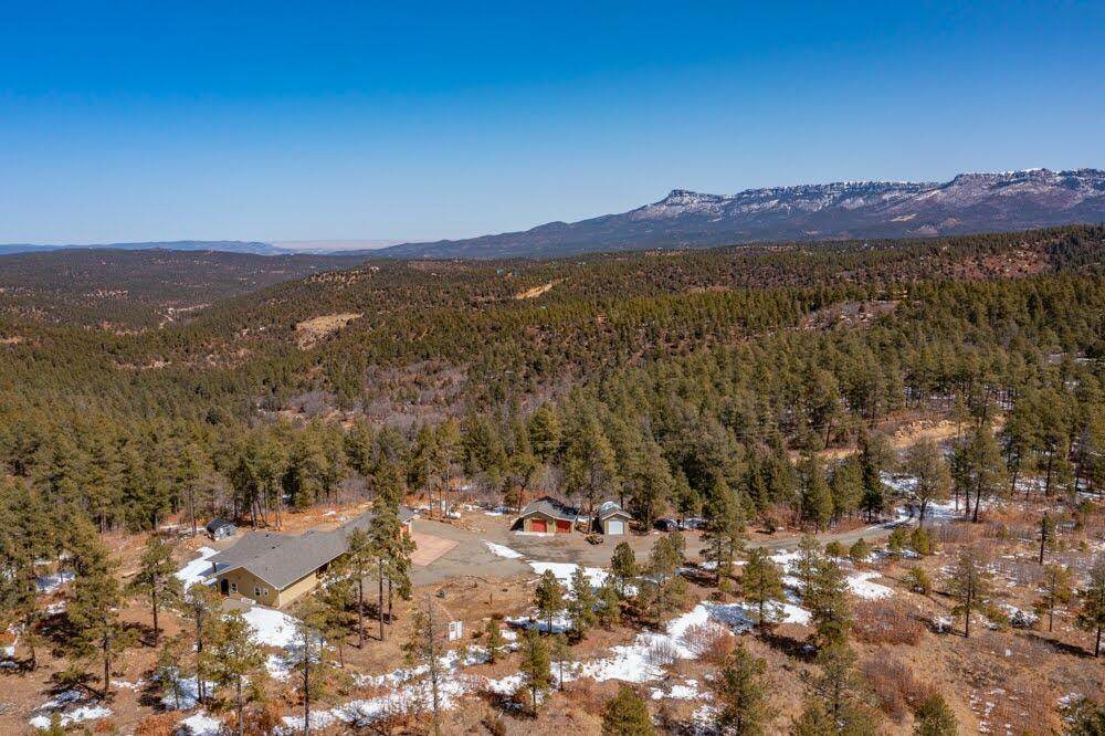 33135 Squirrel Lane - Photo 1