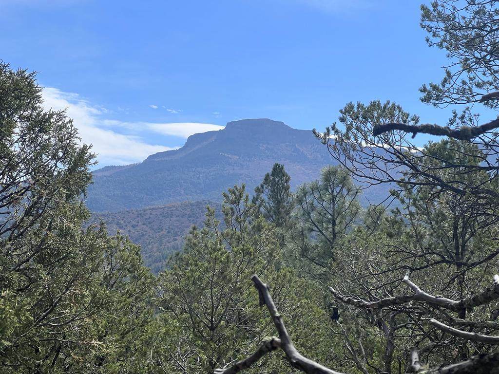 7662 Pass Creek Ct - Photo 1
