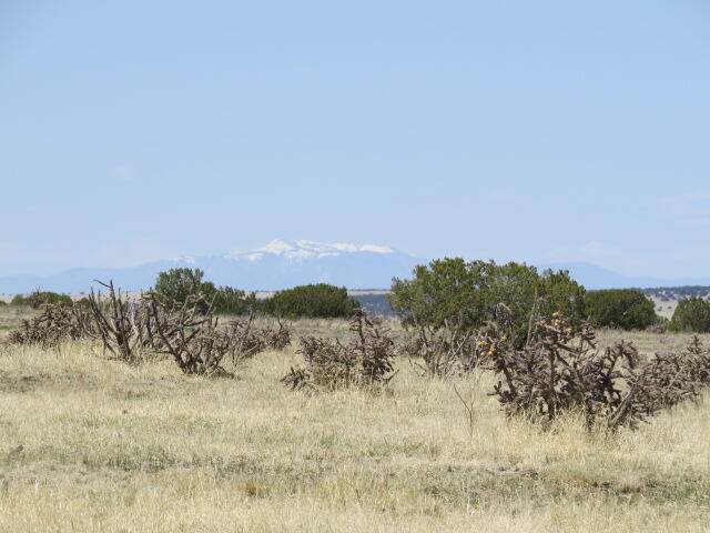 Unassigned County Rd 78 - Photo 1