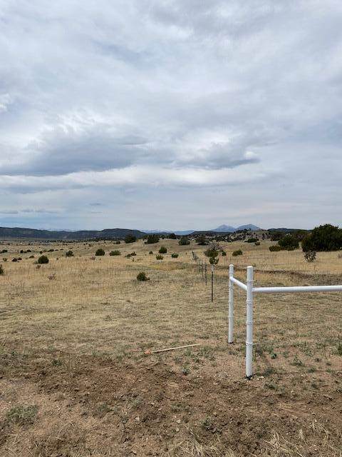 24010 Adams Rd - Photo 1