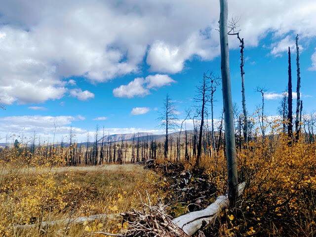 https://bt-photos.global.ssl.fastly.net/spanishpeaks/orig_boomver_1_23-1132-2.jpg