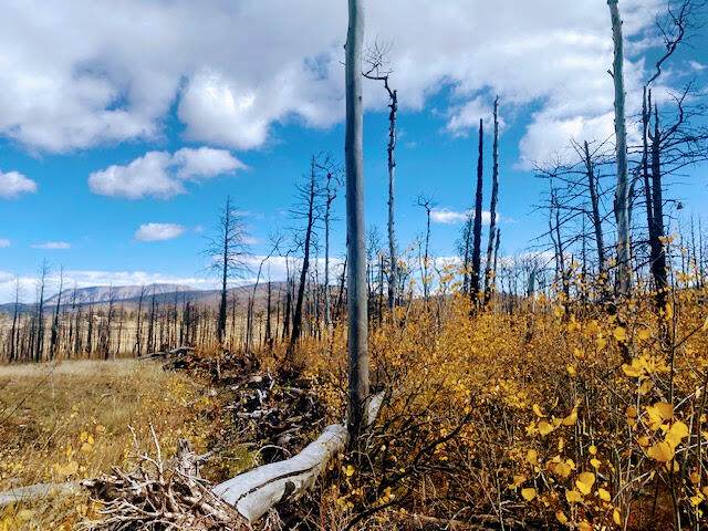 https://bt-photos.global.ssl.fastly.net/spanishpeaks/orig_boomver_1_23-1132-2.jpg
