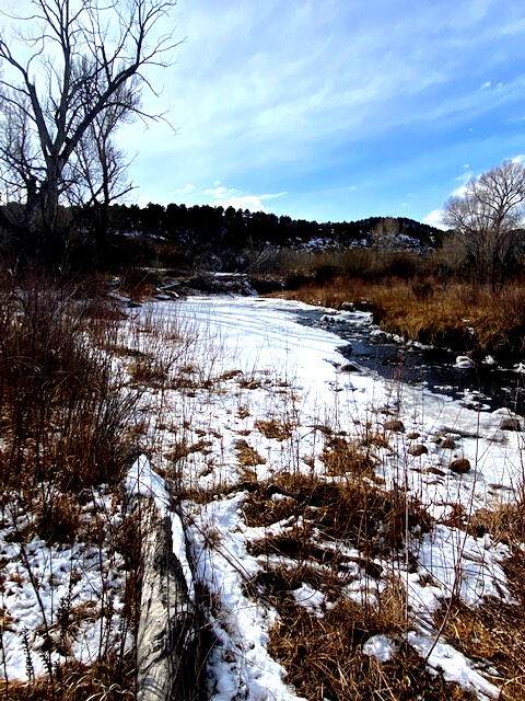 16653 Co Hwy 12 - Photo 1