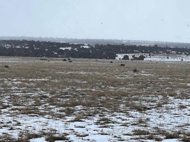 Turkey Ridge Ranch - Photo 1