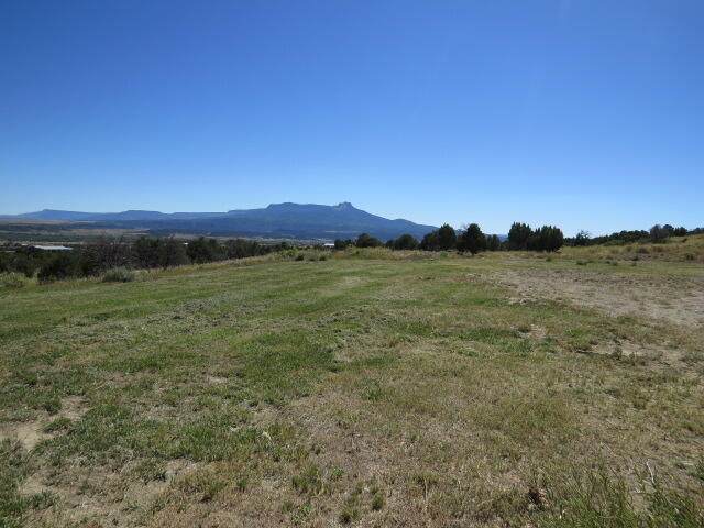 16516 County Rd 71.1 - Photo 1