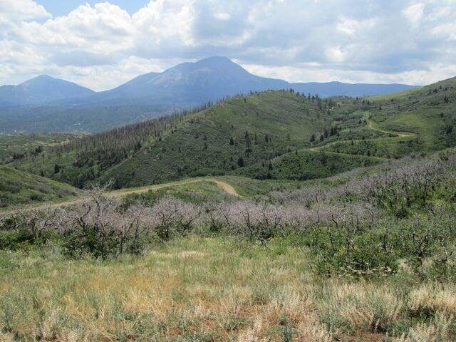 Lot 32 Raspberry Mountain Ranch - Photo 1