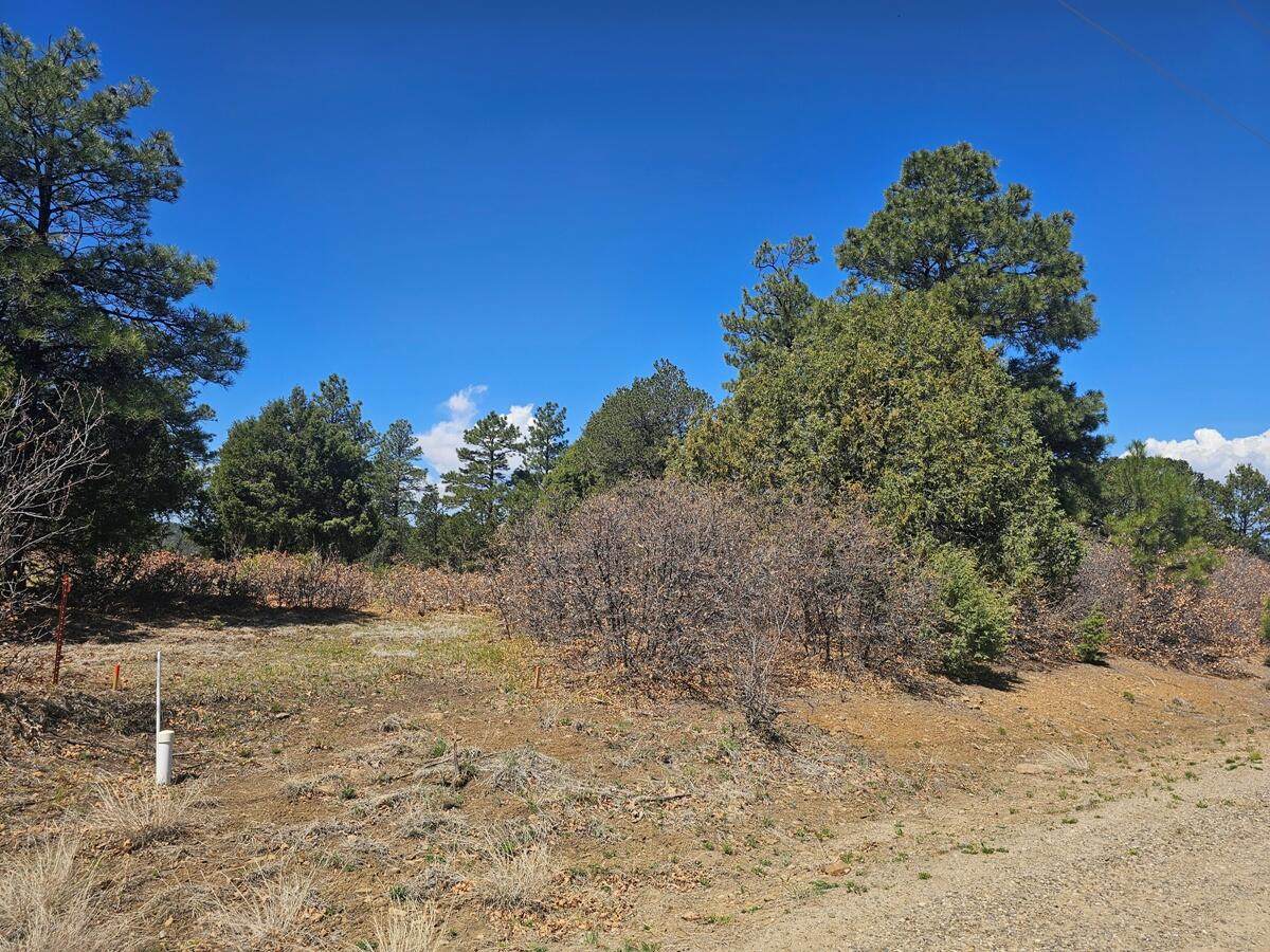 https://bt-photos.global.ssl.fastly.net/spanishpeaks/orig_boomver_1_25-416-2.jpg
