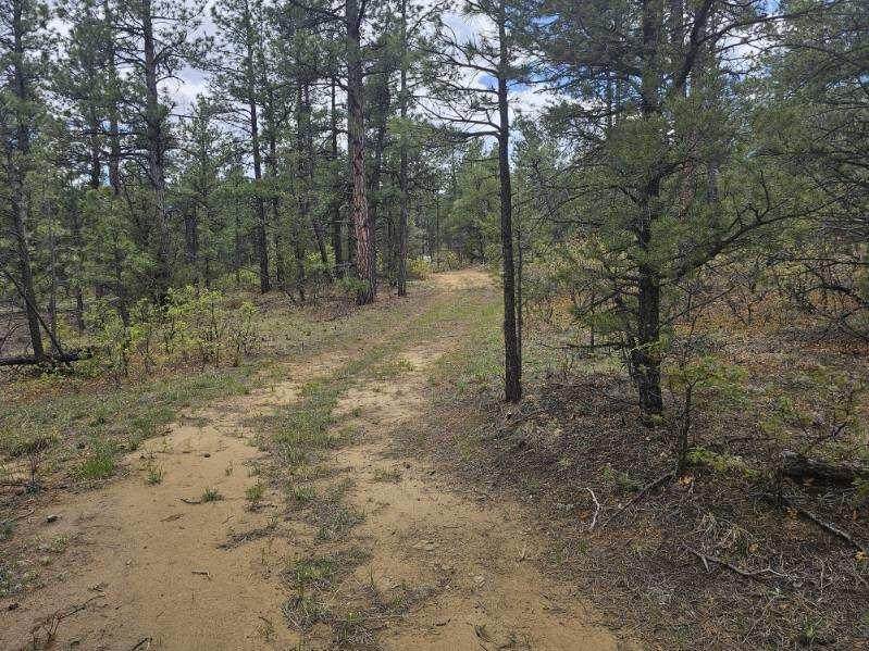 17990 King Rd - Photo 1